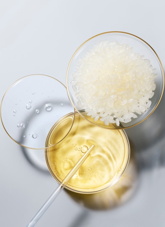 AQUA CHARGE Treatment Lotion