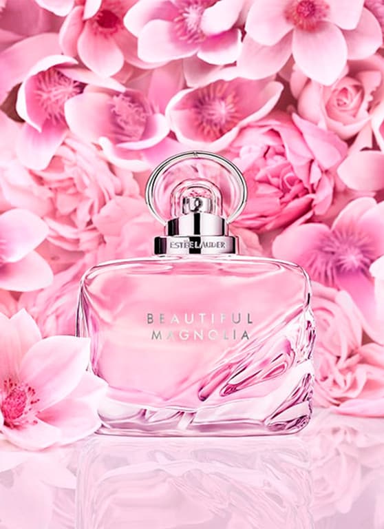 Beautiful Magnolia